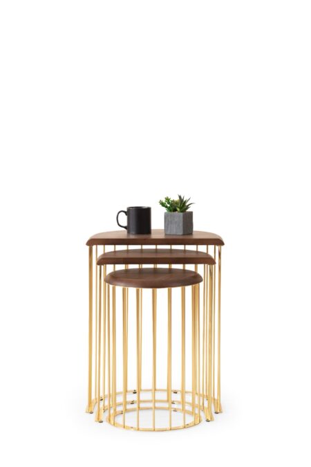 Nova Zigon Coffee Table (Gold)